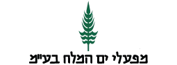 לוגו מפעלי ים המלח